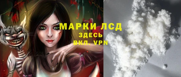 ПСИЛОЦИБИНОВЫЕ ГРИБЫ Инта