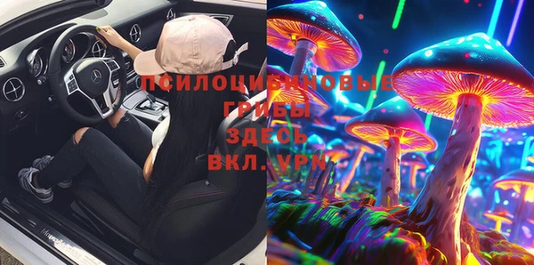 твердый Богородицк