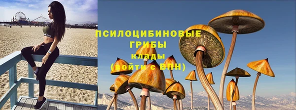 твердый Богородицк